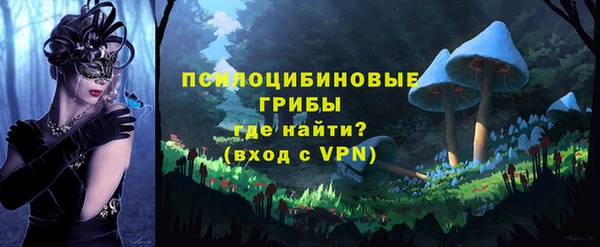 гидропоника Верея